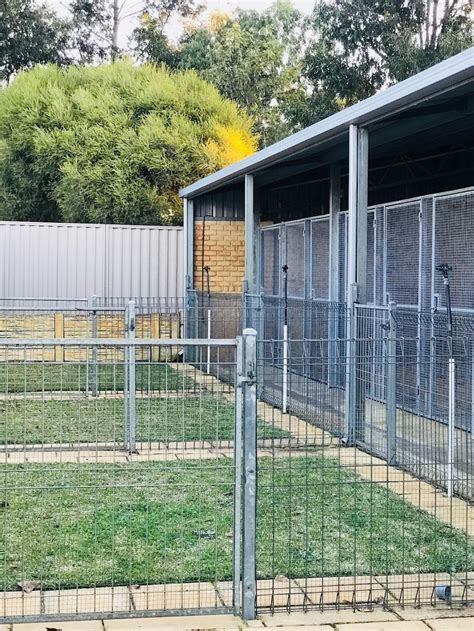 greenacre kennels canning vale wa.